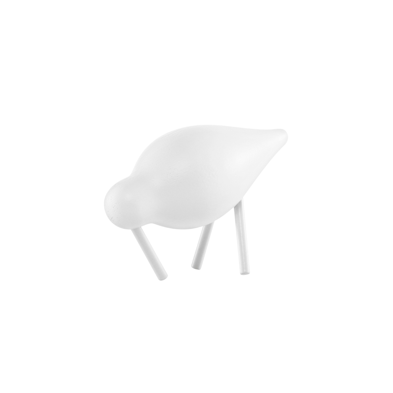 Fågel Shorebird Small Vit