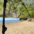 Parasoll Skog UPF 50+ 180 cm