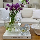 Pappersvikt Bleu Riddarsporre 8 cm