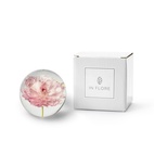 Pappersvikt Peony Rose Ranunkel 8 cm