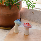 Salt & Peppar Mushroom