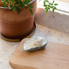 Salt och peppar Ostron