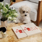 Bok A Dog's Life - Dog Journal