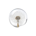Pappersvikt Dandelion Maskros 8 cm