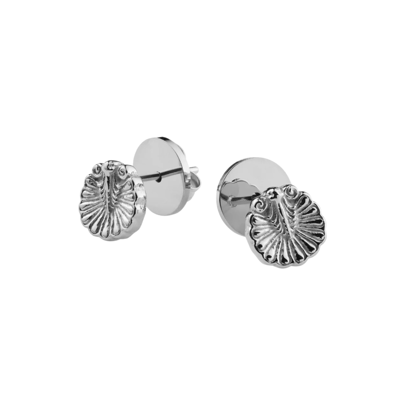 Örhänge Venus Shell Silver