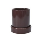 Örtkruka 11 cm Mörkbrun