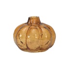 Minivas Pumpkin
