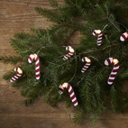 Ljusslinga CandyCane